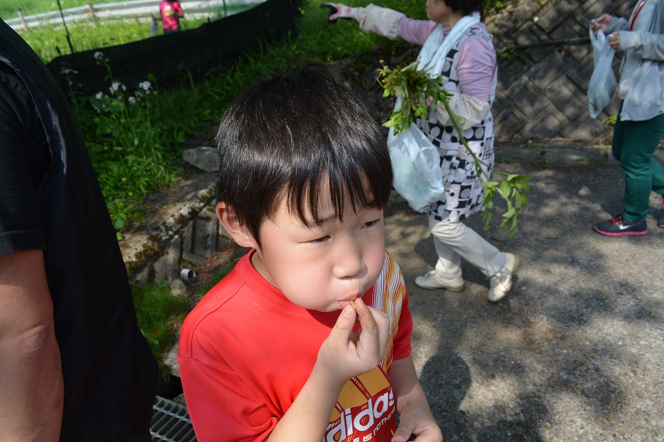 廣子さんのお孫さんも同行。たんぽぽの茎で笛を吹きました
