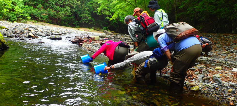 春の多摩川源流沢歩き