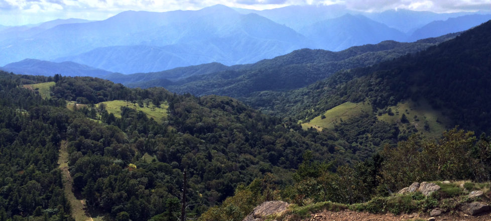 【７/２０（水）募集終了】多摩川の最初の一滴を訪ねる！！