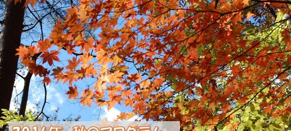 2016年秋開催のプログラム情報! 2016年秋開催のプログラム情報!