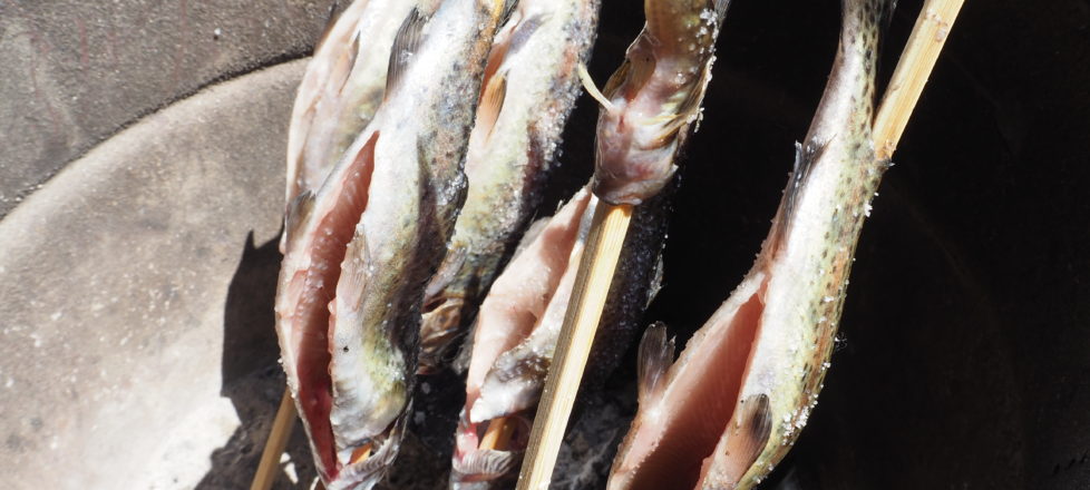 「お試し企画」初心者魚釣り体験　【報告】