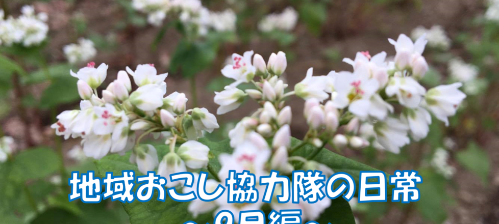 地域おこし協力隊の日常~9月編~ 地域おこし協力隊の日常~9月編~