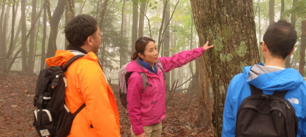 源流の森で、企業の新次世代リーダー研修 源流の森で、企業の新次世代リーダー研修