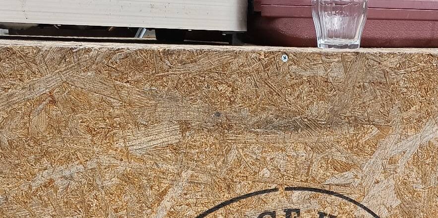 【活動報告】🌲✨森の香りに包まれる一日✨🌲 【活動報告】🌲✨森の香りに包まれる一日✨🌲