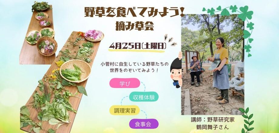 春の野草摘み草会～旬の野草を触って食べて楽しもう！