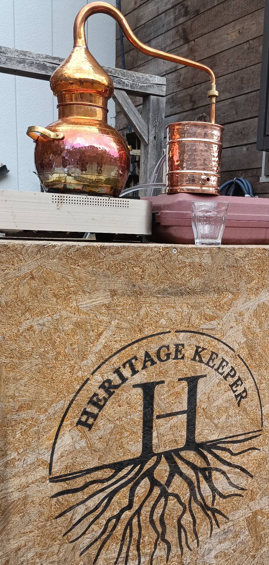 【活動報告】🌲✨森の香りに包まれる一日✨🌲