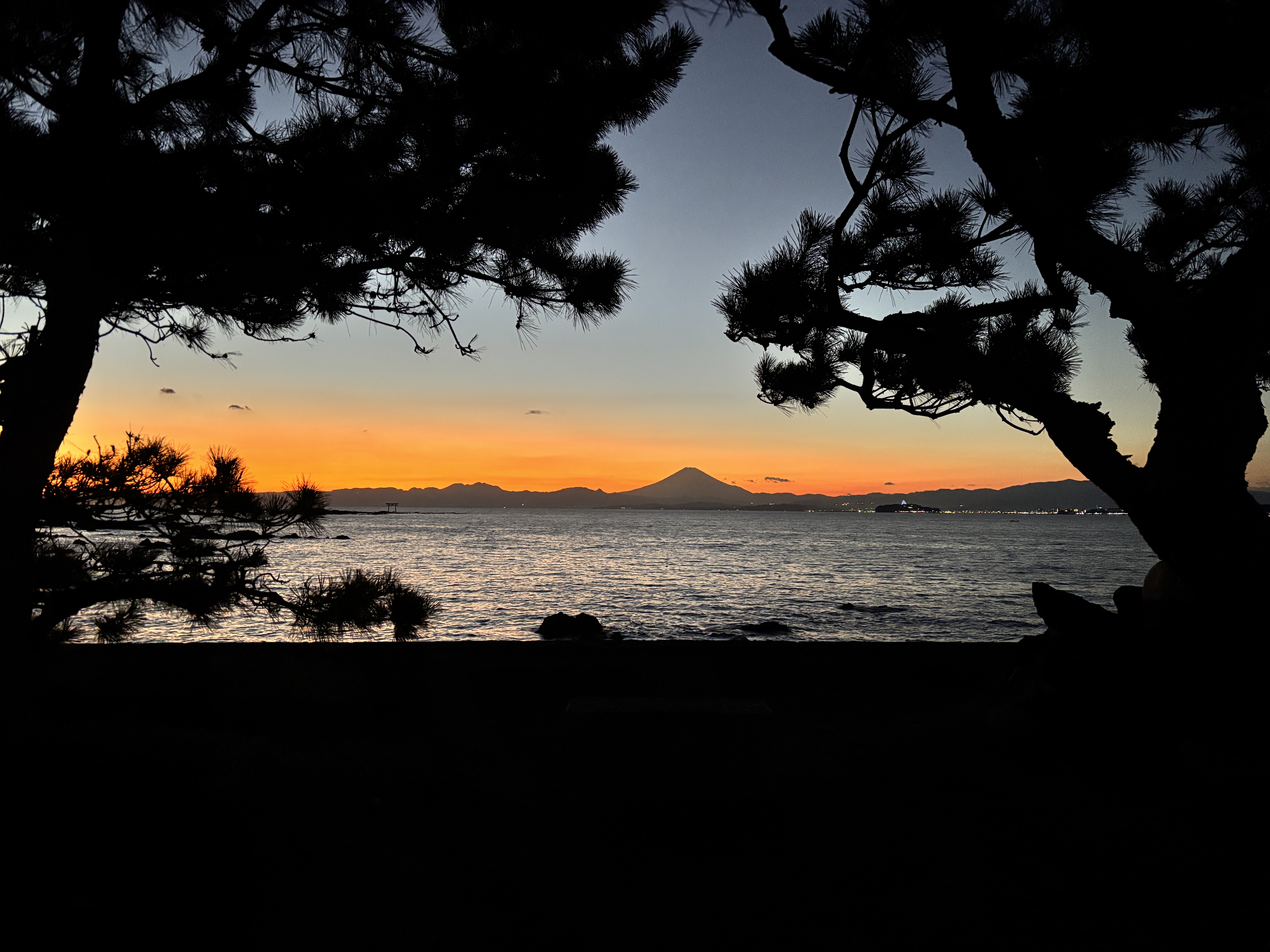 【活動報告】所有しない豊かさ。葉山のシェアリングエコノミー研修に行ってきました。