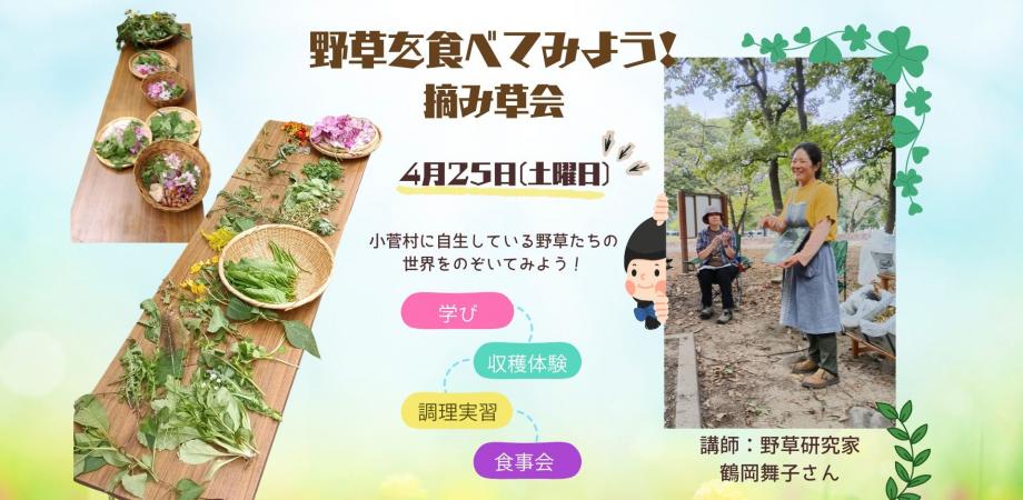 春の野草摘み草会~旬の野草を触って食べて楽しもう! 春の野草摘み草会~旬の野草を触って食べて楽しもう!