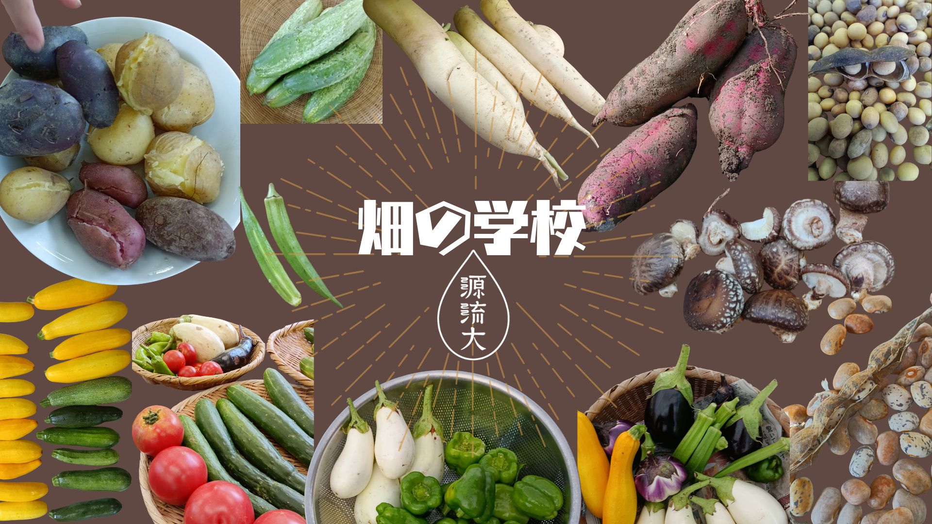 ４月開催の講座のお知らせ